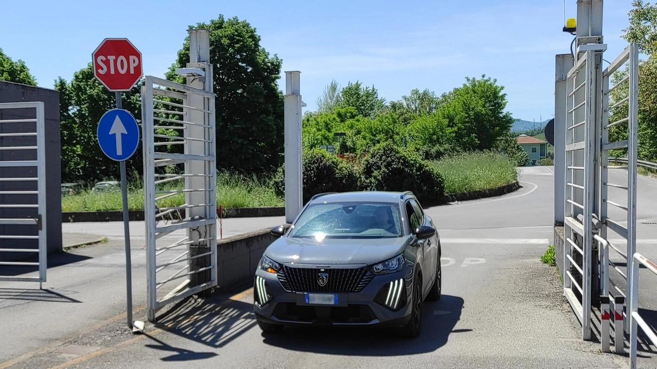Nonostante il cartello che indica il divieto gli automobilisti continuano a percorrere la strada al contrario. La direttrice della Gruccia lancia un appello al rispetto delle regole ai cittadini: "Condotte pericolose". Nonostante il cartello che indica il divieto gli automobilisti continuano a percorrere la strada al contrario. La direttrice della Gruccia lancia un appello al rispetto delle regole ai cittadini: "Condotte pericolose".