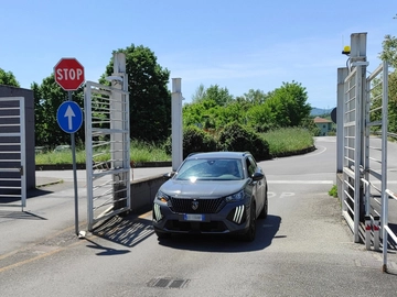 immagine articolo