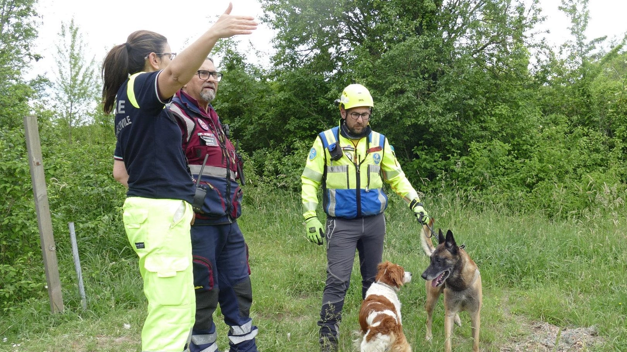 Il giallo di Denisa . Valanga di segnalazioni e ricerche all’estero. Il ruolo dell’avvocato
