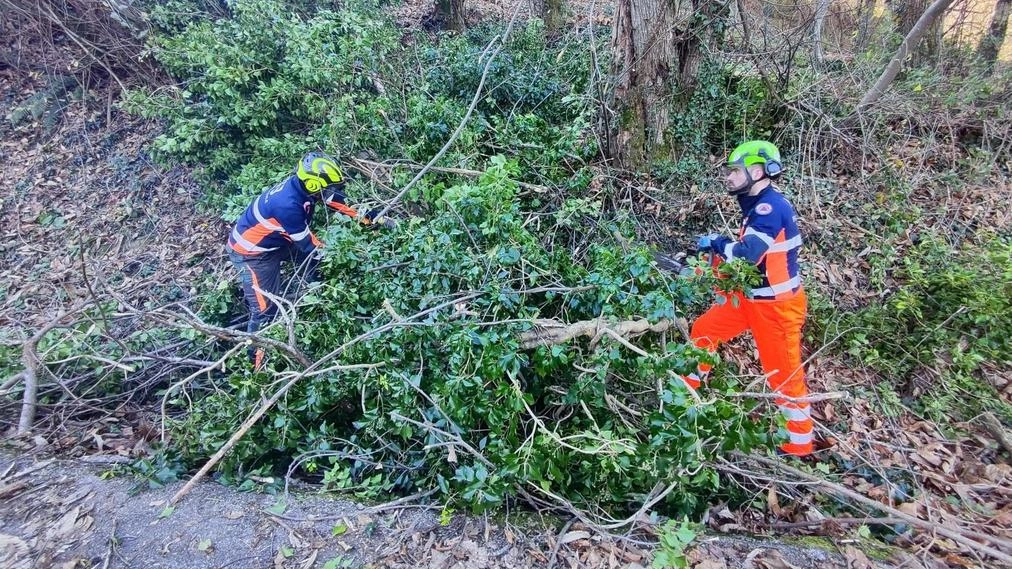 I volontari Vab. Val Bisenzio in azione I volontari Vab. Val Bisenzio in azione