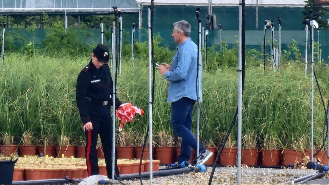 Tentato omicidio nel vivaio. La disperazione dopo l’agguato. L’arrestato: "Mi sono rovinato" Tentato omicidio nel vivaio. La disperazione dopo l’agguato. L’arrestato: "Mi sono rovinato"