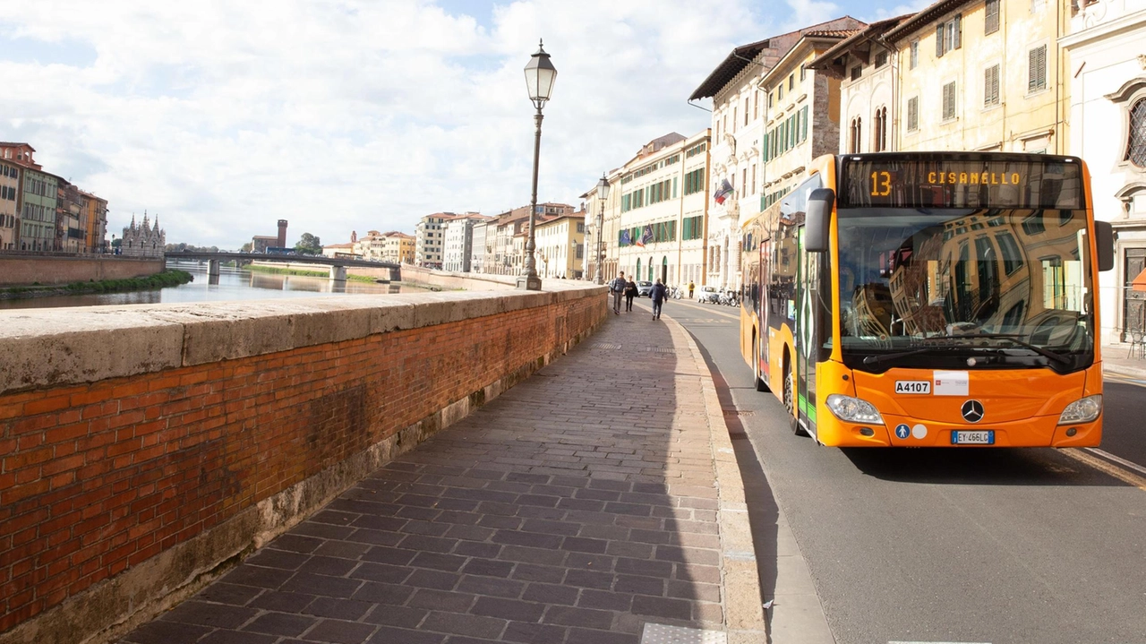 La disavventura di una famiglia di italiani arrivata alla stazione per un giro in piazza dei Miracoli "Per salire in 5 e fare il biglietto servono 5 carte di credito diverse. E se ci sono dei bambini?".