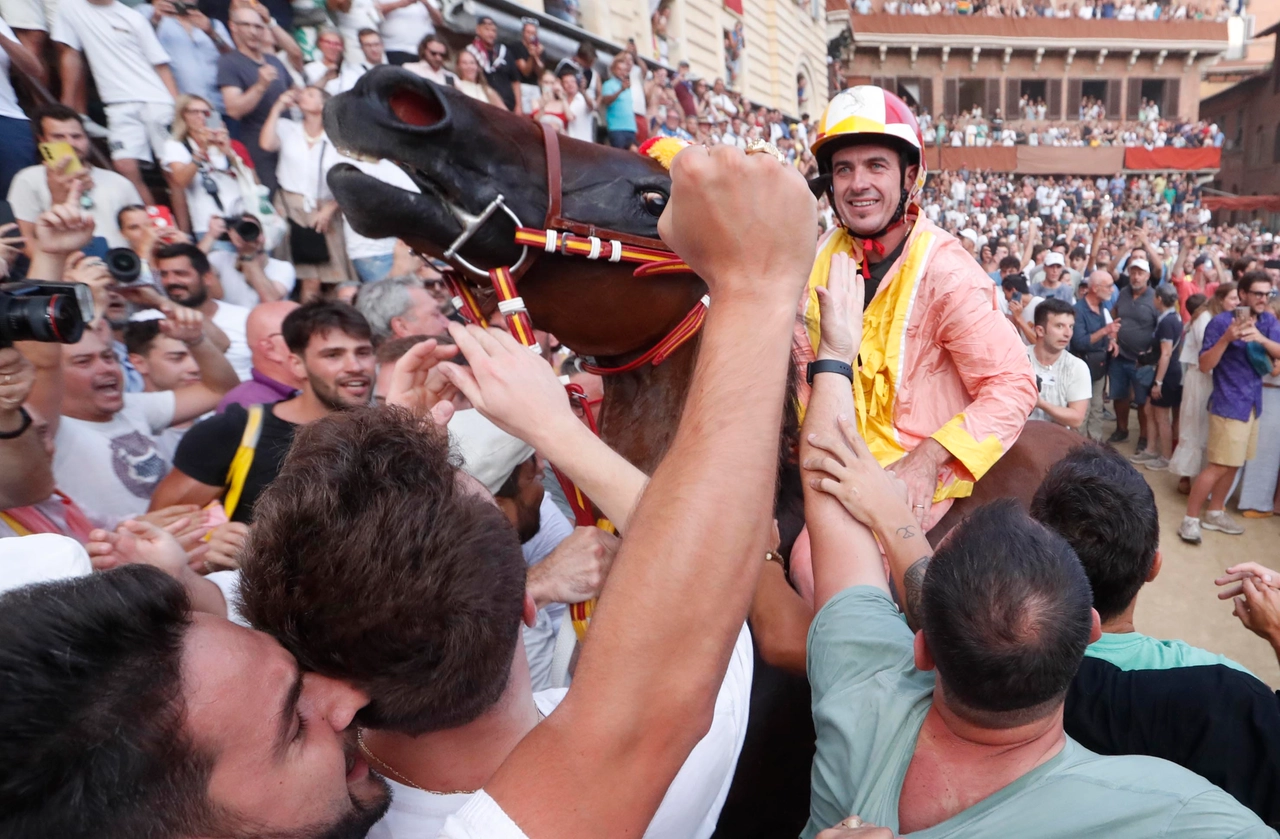 immagine di sfondo 10