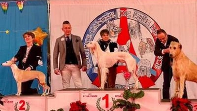 Zahra al primo posto del concorso Societe Canine ile de Francia a Parigi Zahra al primo posto del concorso Societe Canine ile de Francia a Parigi