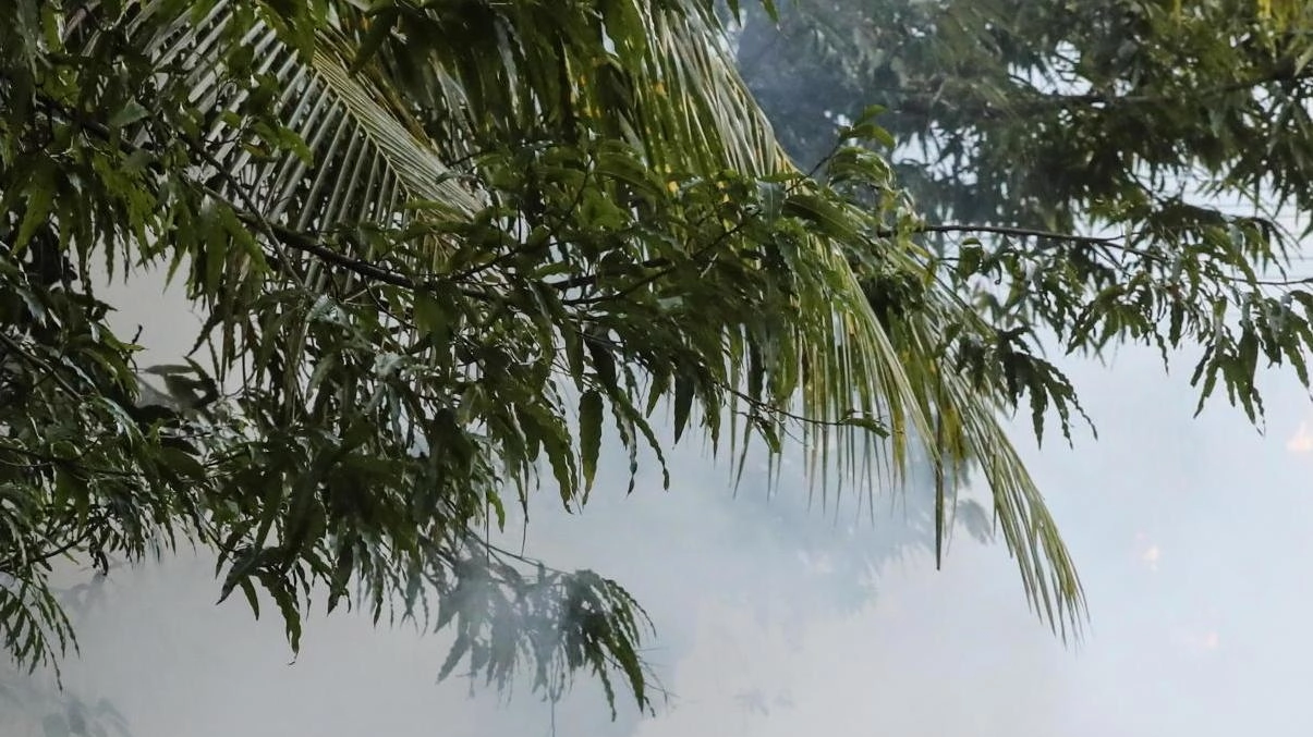 Caso di Dengue a Prato. Lo rende noto l’Asl Toscana Centro che fa sapere che si tratta di un uomo,... Caso di Dengue a Prato. Lo rende noto l’Asl Toscana Centro che fa sapere che si tratta di un uomo,...