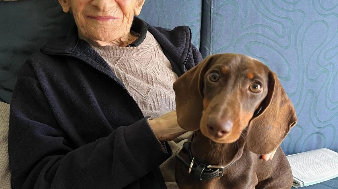 Francesca Dottorini ha festeggiato a Todi il centesimo compleanno negli stessi giorni in cui il traguardo è stato tagliato dalla concittadina Lea Fanelli Francesca Dottorini ha festeggiato a Todi il centesimo compleanno negli stessi giorni in cui il traguardo è stato tagliato dalla concittadina Lea Fanelli