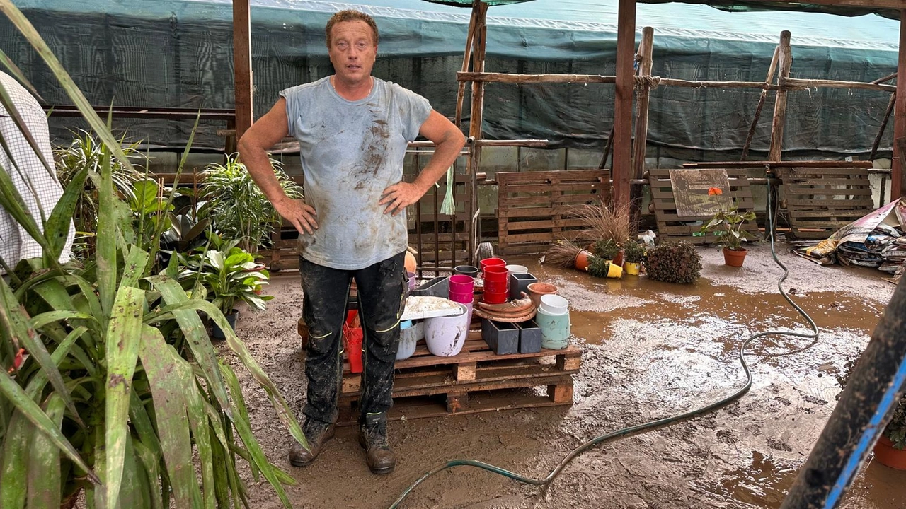 Violenta alluvione a Montescudaio distrugge vivaio Garden Flor Etruria: danni ingenti, proprietario Marco Pallecchi racconta la devastazione e la difficile ripresa. Violenta alluvione a Montescudaio distrugge vivaio Garden Flor Etruria: danni ingenti, proprietario Marco Pallecchi racconta la devastazione e la difficile ripresa.