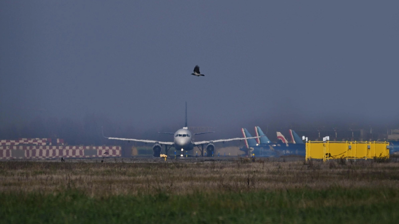 Mercoledì 5 febbraio si terrà l’Airport Day, un evento nazionale promosso da Assaeroporti e dalle società di gestione aeroportuale associate.... Mercoledì 5 febbraio si terrà l’Airport Day, un evento nazionale promosso da Assaeroporti e dalle società di gestione aeroportuale associate....