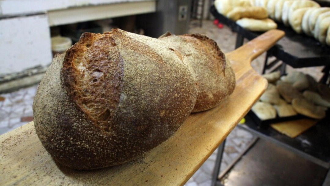 Pane (foto Ansa) Pane (foto Ansa)