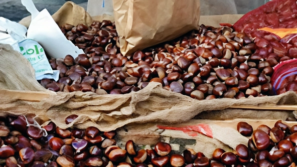 Sommario: A Montecarlo si tiene "Sapori d’Autunno" con degustazioni di vino e prodotti tipici. Prossimi eventi includono festività natalizie e concerti. Sommario: A Montecarlo si tiene "Sapori d’Autunno" con degustazioni di vino e prodotti tipici. Prossimi eventi includono festività natalizie e concerti.