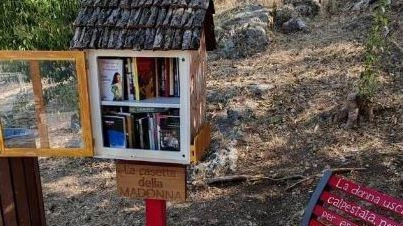 Cinque famiglie hanno creato una deliziosa libreria per il #bookcrossing, accanto a una panchina che invita a fermarsi, leggere, conversare