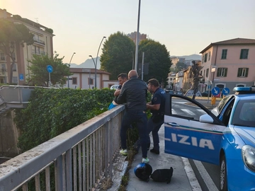 immagine articolo