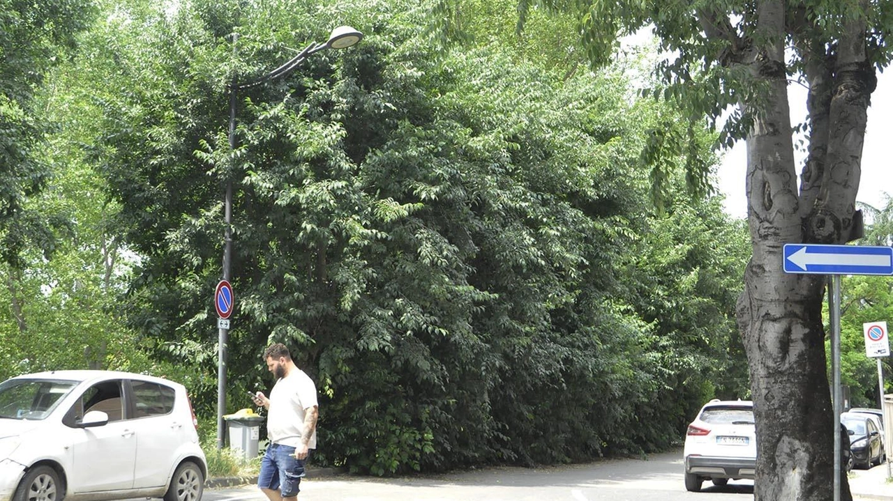 Ha contattato La Nazione, Paolo. Baldi, per evidenziare il problema che interessa la sua zona di residenza, viale Marconi, con un’illuminazione molto ridotta Ha contattato La Nazione, Paolo. Baldi, per evidenziare il problema che interessa la sua zona di residenza, viale Marconi, con un’illuminazione molto ridotta