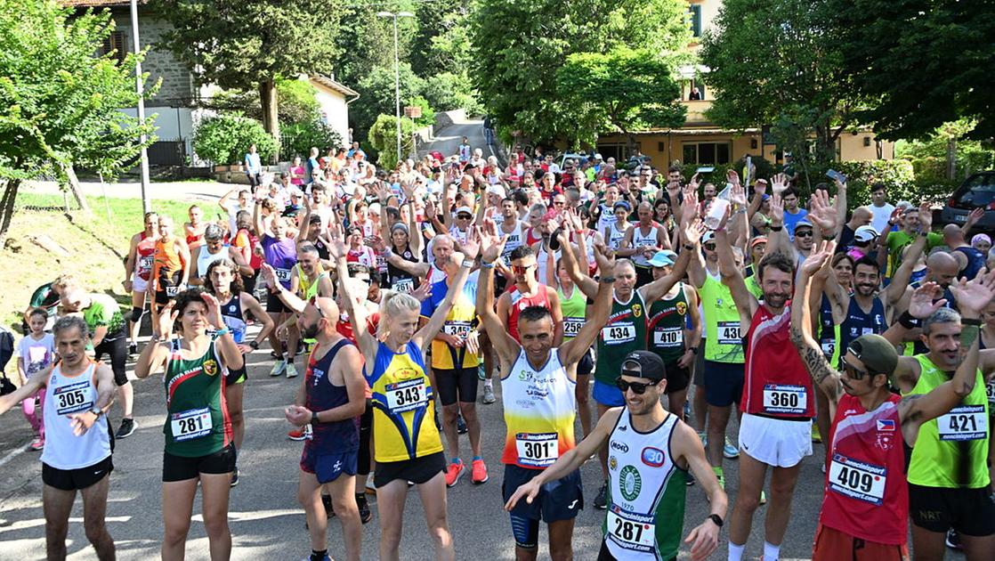 trofeo giugnimemorial martelli si corre a maiano da Lanazione.it trofeo giugnimemorial martelli si corre a maiano