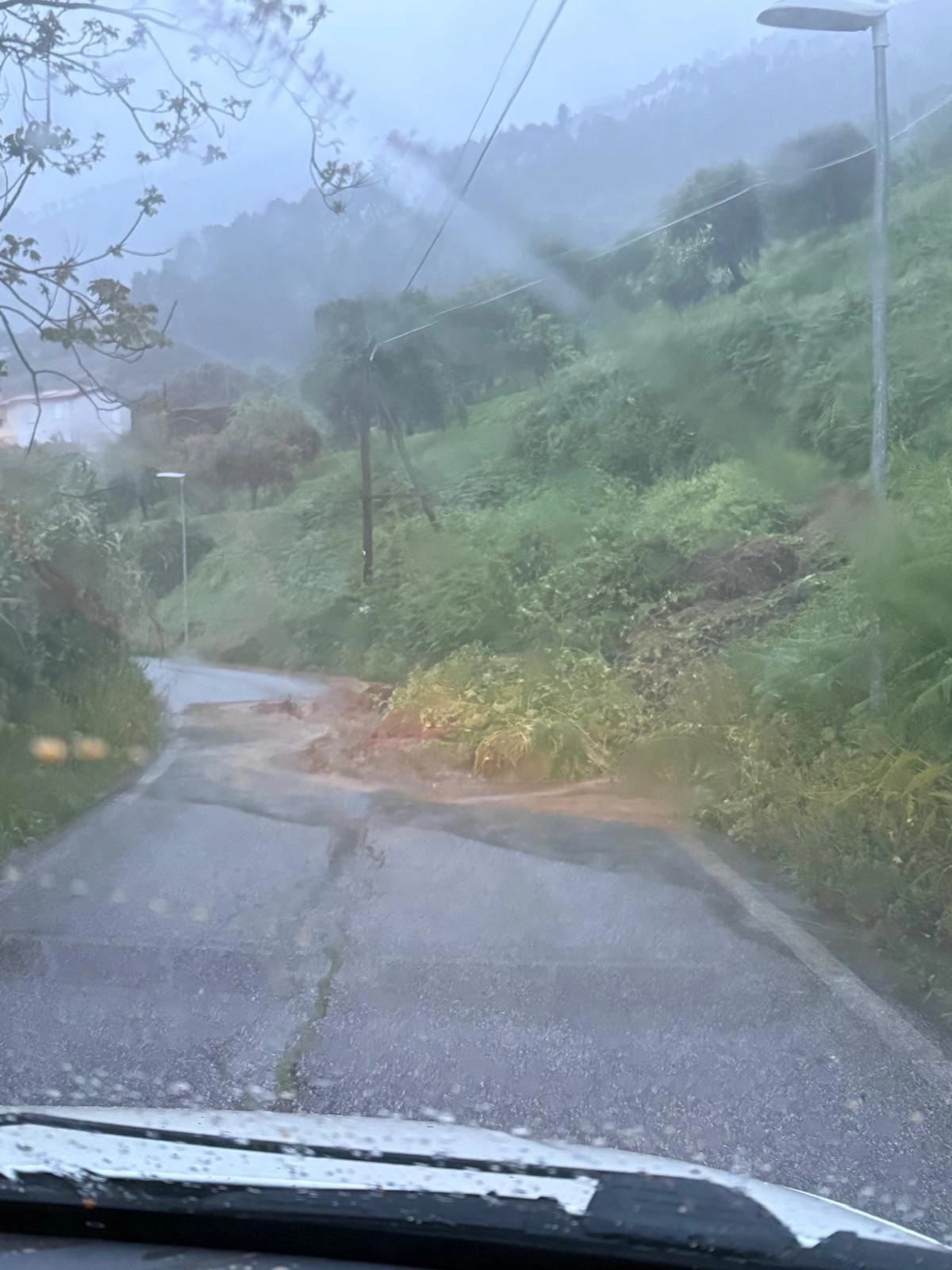 immagine di sfondo 15