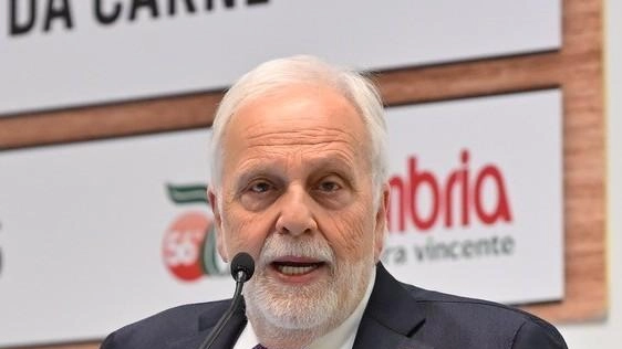 Il presidente Stefano Ansideri