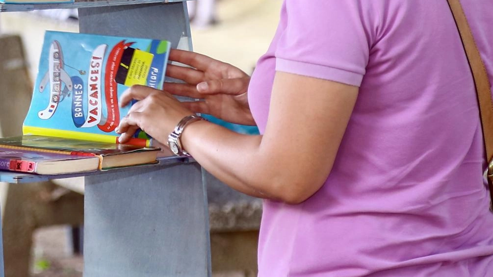 Una ragazza consulta un libro Una ragazza consulta un libro