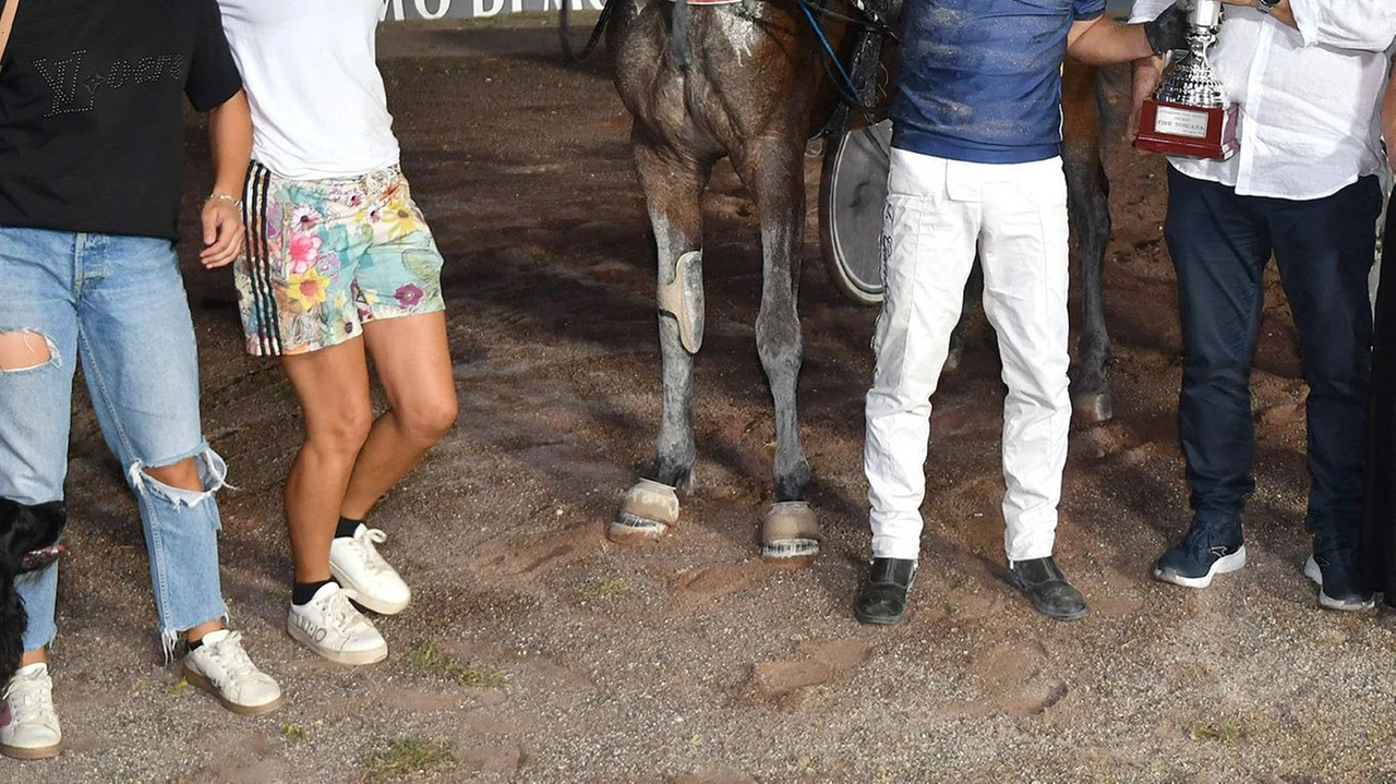 La Tris Quartè Quintè nazionale Premio Fise Toscana a Montecatini Terme ha visto la vittoria sorprendente di Biscuit Del Nord, superando Baccani e Doritos Bi. Il Quintè ha regalato emozioni, con una quota che ha superato i 18 mila euro. Altri successi per Francesco Facci e Edoardo Baldi, confermando l'alto livello delle corse all'Ippodromo Sesana. La Tris Quartè Quintè nazionale Premio Fise Toscana a Montecatini Terme ha visto la vittoria sorprendente di Biscuit Del Nord, superando Baccani e Doritos Bi. Il Quintè ha regalato emozioni, con una quota che ha superato i 18 mila euro. Altri successi per Francesco Facci e Edoardo Baldi, confermando l'alto livello delle corse all'Ippodromo Sesana.