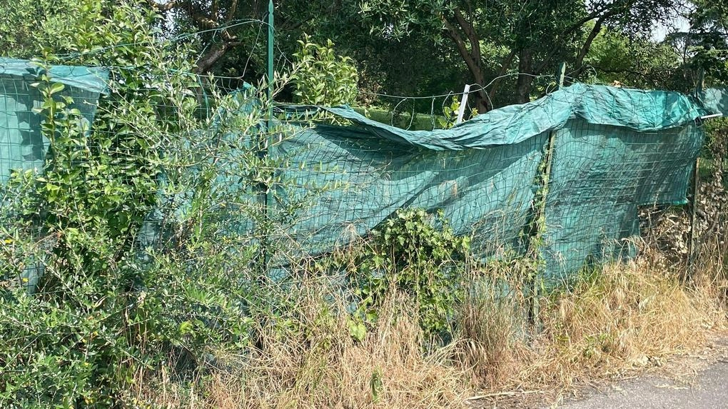 Le recinzioni che proteggono il perimetro delle piscine comunali di Montecatini vengono quotidianamente danneggiate da persone che di notte entrano nella proprietà
