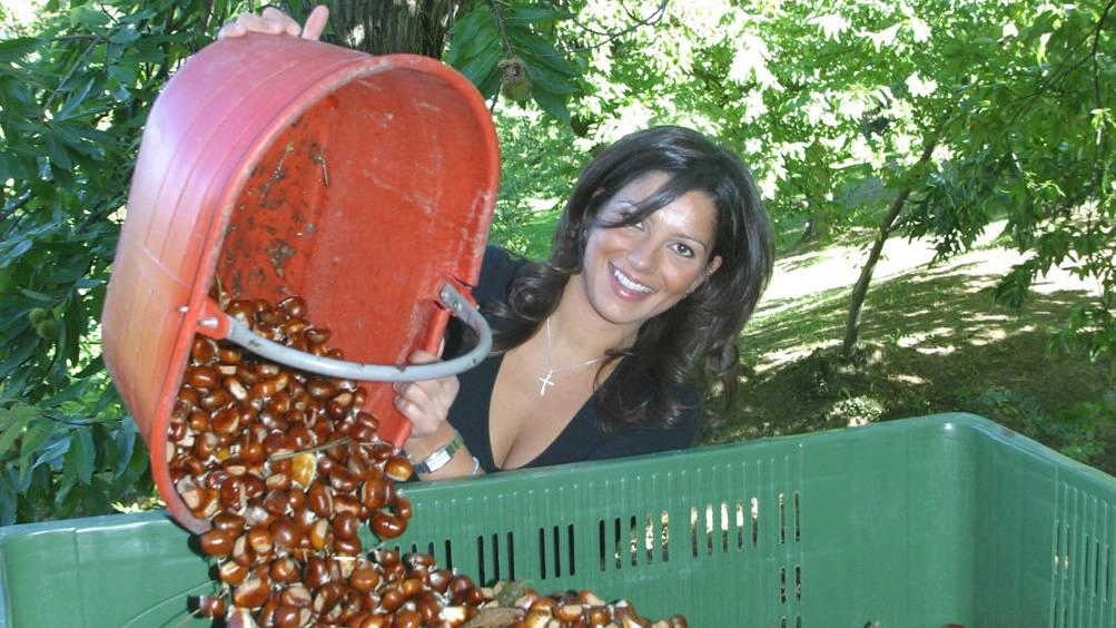 Firmato in Regione l’accordo che sancisce la costituzione del distretto rurale castanicolo toscano, alla presenza di rappresentanti delle istituzioni, delle... Firmato in Regione l’accordo che sancisce la costituzione del distretto rurale castanicolo toscano, alla presenza di rappresentanti delle istituzioni, delle...