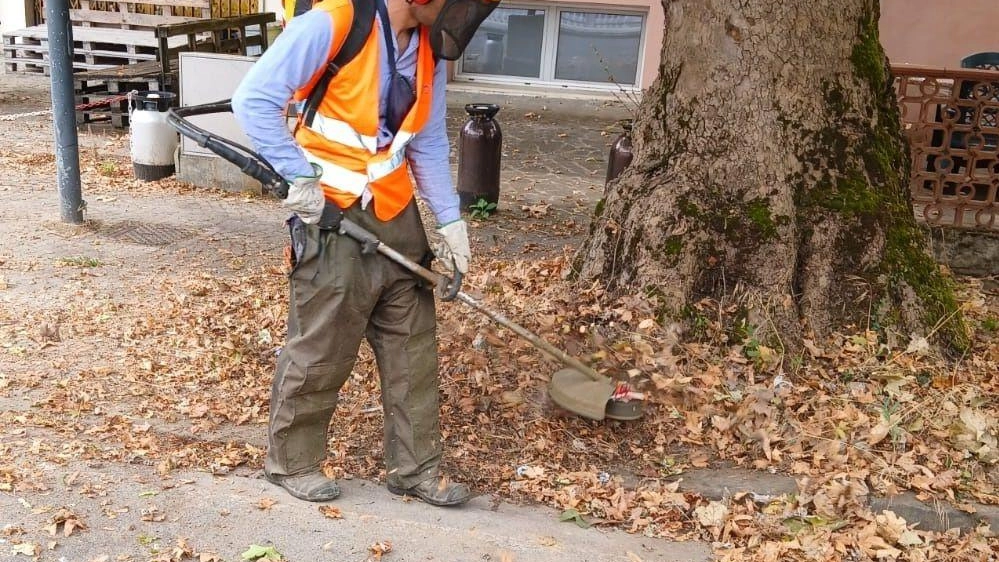 Il Comune di Fucecchio offre un servizio online per segnalare reclami sui servizi comunali, rifiuti abbandonati, problemi ambientali. È possibile contattare anche telefonicamente per richieste di manutenzione o esposti ambientali. Il Comune di Fucecchio offre un servizio online per segnalare reclami sui servizi comunali, rifiuti abbandonati, problemi ambientali. È possibile contattare anche telefonicamente per richieste di manutenzione o esposti ambientali.