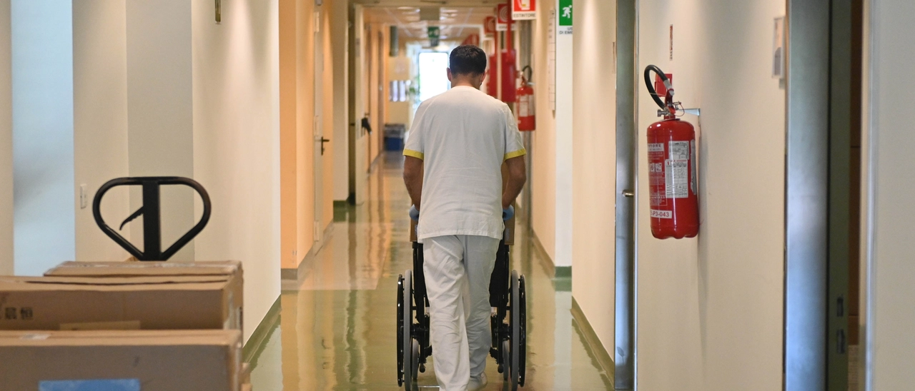 Azzannata da un cane, bimba all’ospedale. Paura in centro a Pistoia. “Si è avventato all’improvviso”