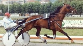 Tutto pronto per la nuova stagione all'Ippodromo Sesana (Foto di repertorio) Tutto pronto per la nuova stagione all'Ippodromo Sesana (Foto di repertorio)
