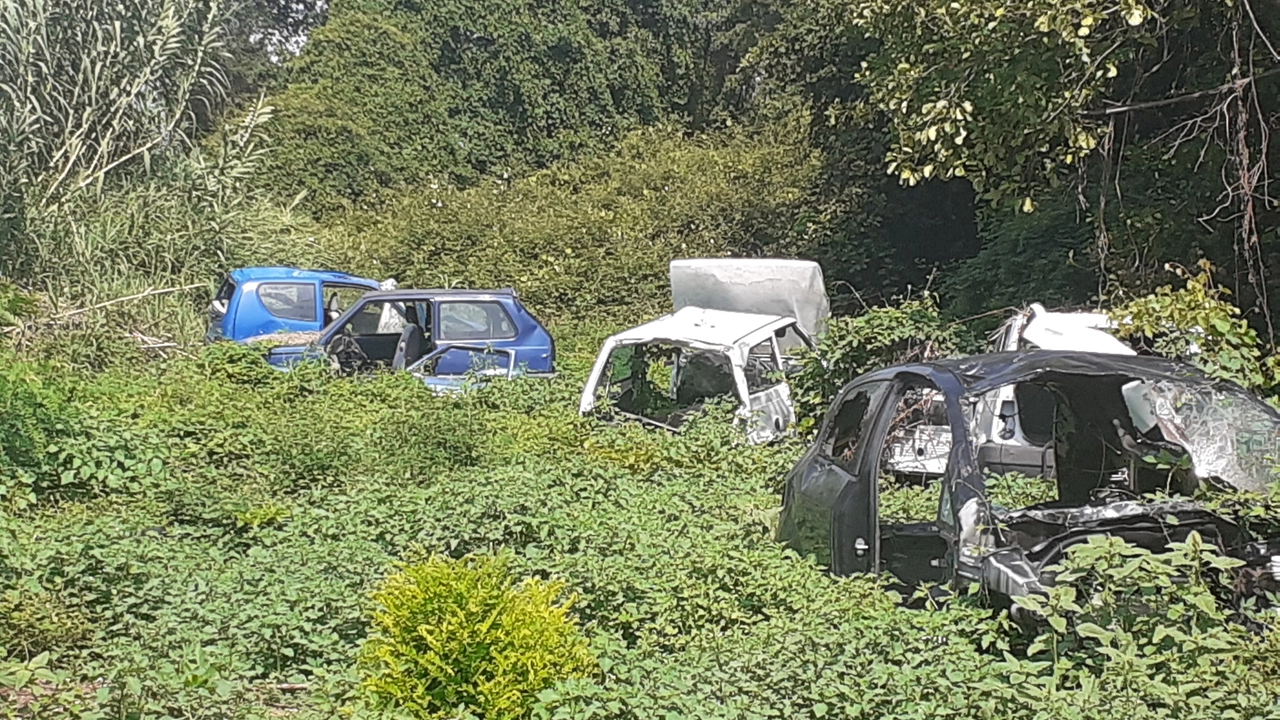 Alcune fotografie fornite dal gruppo ’Il cittadino di Sarzana’ sulla situazione del ’cimiterio’ di auto lungo viale XXV Aprile Alcune fotografie fornite dal gruppo ’Il cittadino di Sarzana’ sulla situazione del ’cimiterio’ di auto lungo viale XXV Aprile