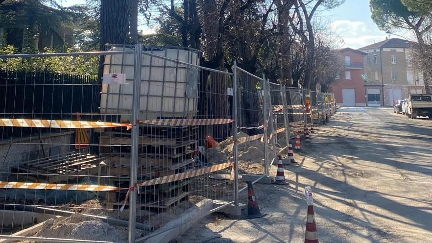 BASTIA UMBRA – Anno nuovo, polemiche vecchie: quelle che riguardano i pini che ornano le strade di Bastia Umbra, in... BASTIA UMBRA – Anno nuovo, polemiche vecchie: quelle che riguardano i pini che ornano le strade di Bastia Umbra, in...