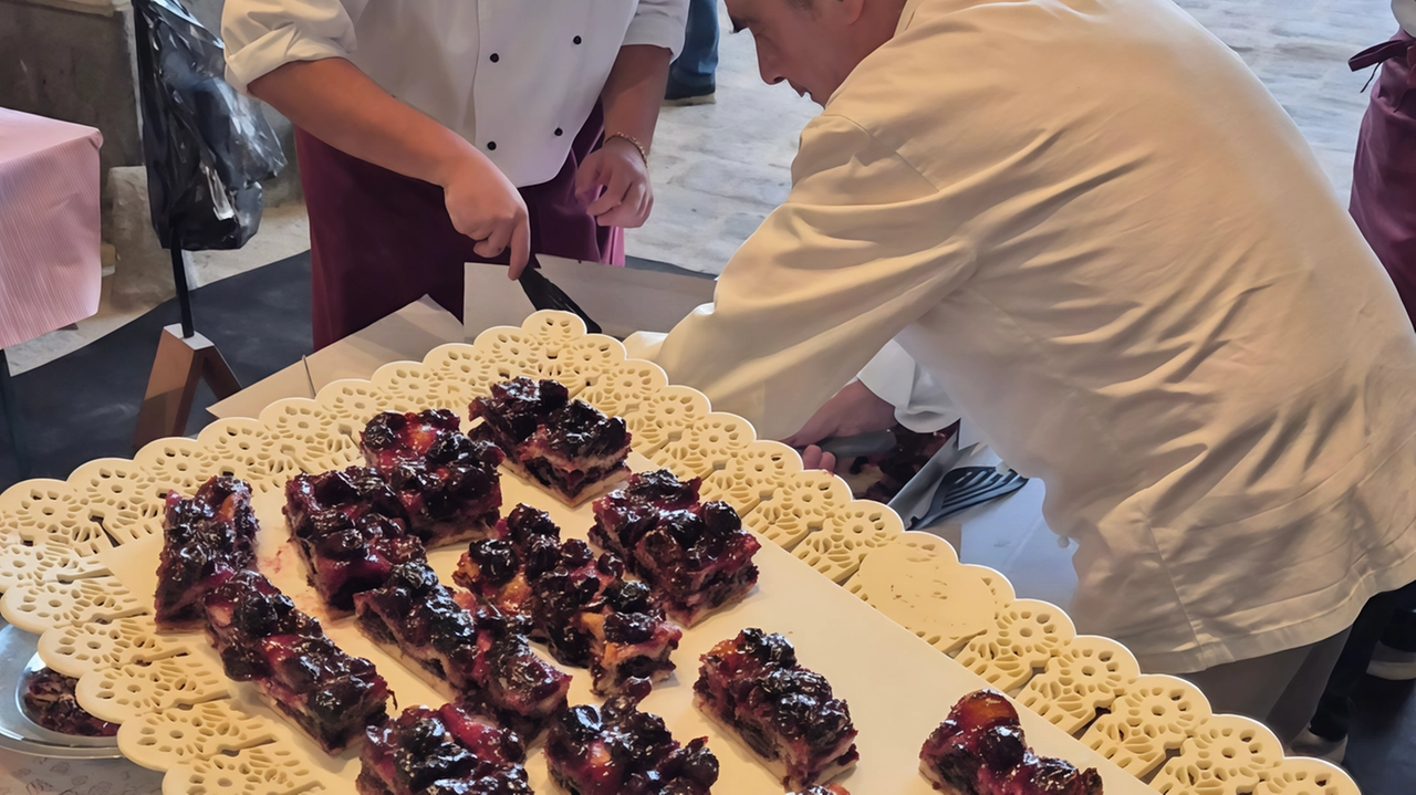 Il "Food Challenge" a Impruneta premia le migliori schiacciate con l'uva del 2024. Giuria tecnica e popolare scelgono i vincitori tra ristoratori e fornai locali. La Festa dell'Uva si conclude domenica con la sfilata dei carri rionali. Il "Food Challenge" a Impruneta premia le migliori schiacciate con l'uva del 2024. Giuria tecnica e popolare scelgono i vincitori tra ristoratori e fornai locali. La Festa dell'Uva si conclude domenica con la sfilata dei carri rionali.