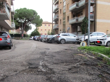 immagine articolo