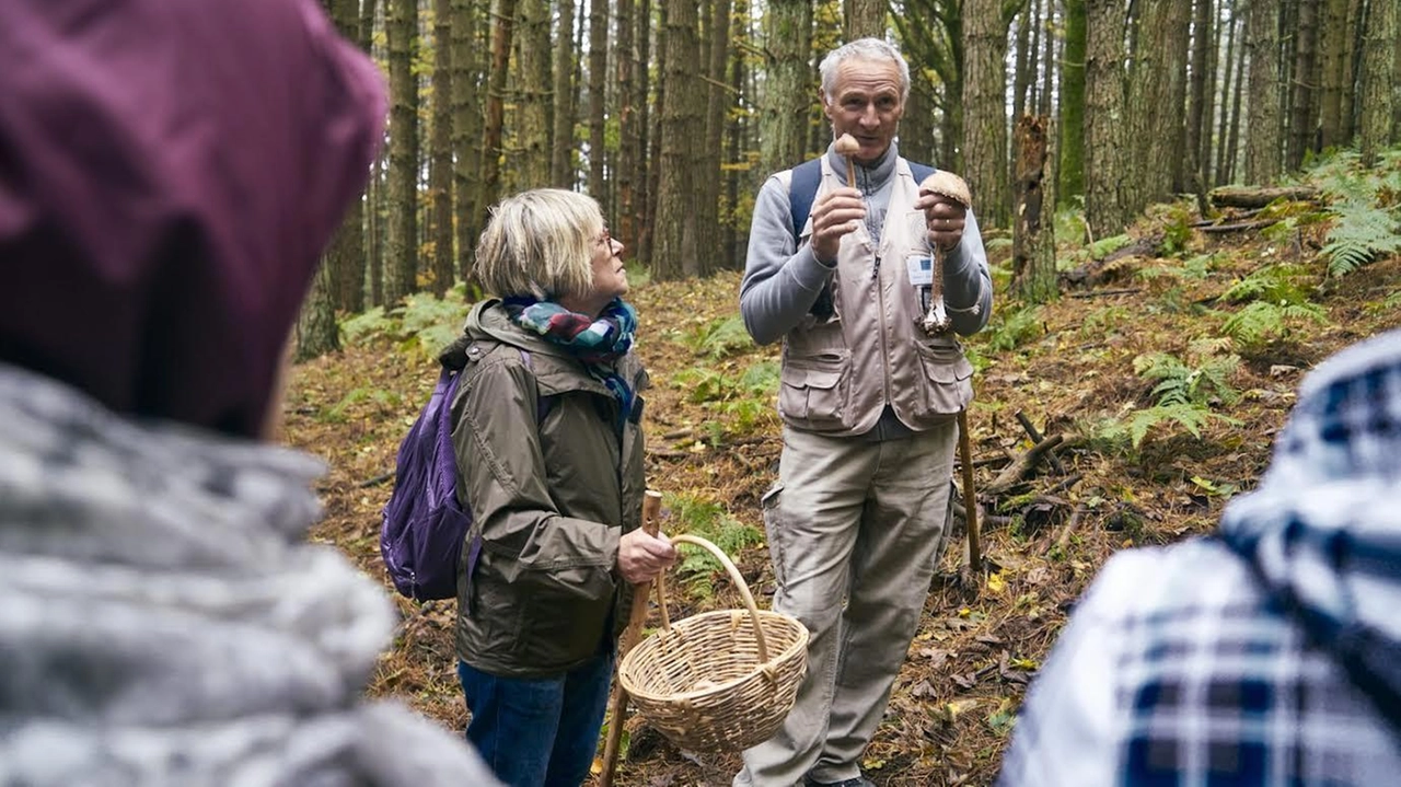 Gli esperti dell’Associazione Micologica Pistoiese e le Guide Ambientali. dell’Ecomuseo accompagneranno i partecipanti Gli esperti dell’Associazione Micologica Pistoiese e le Guide Ambientali. dell’Ecomuseo accompagneranno i partecipanti