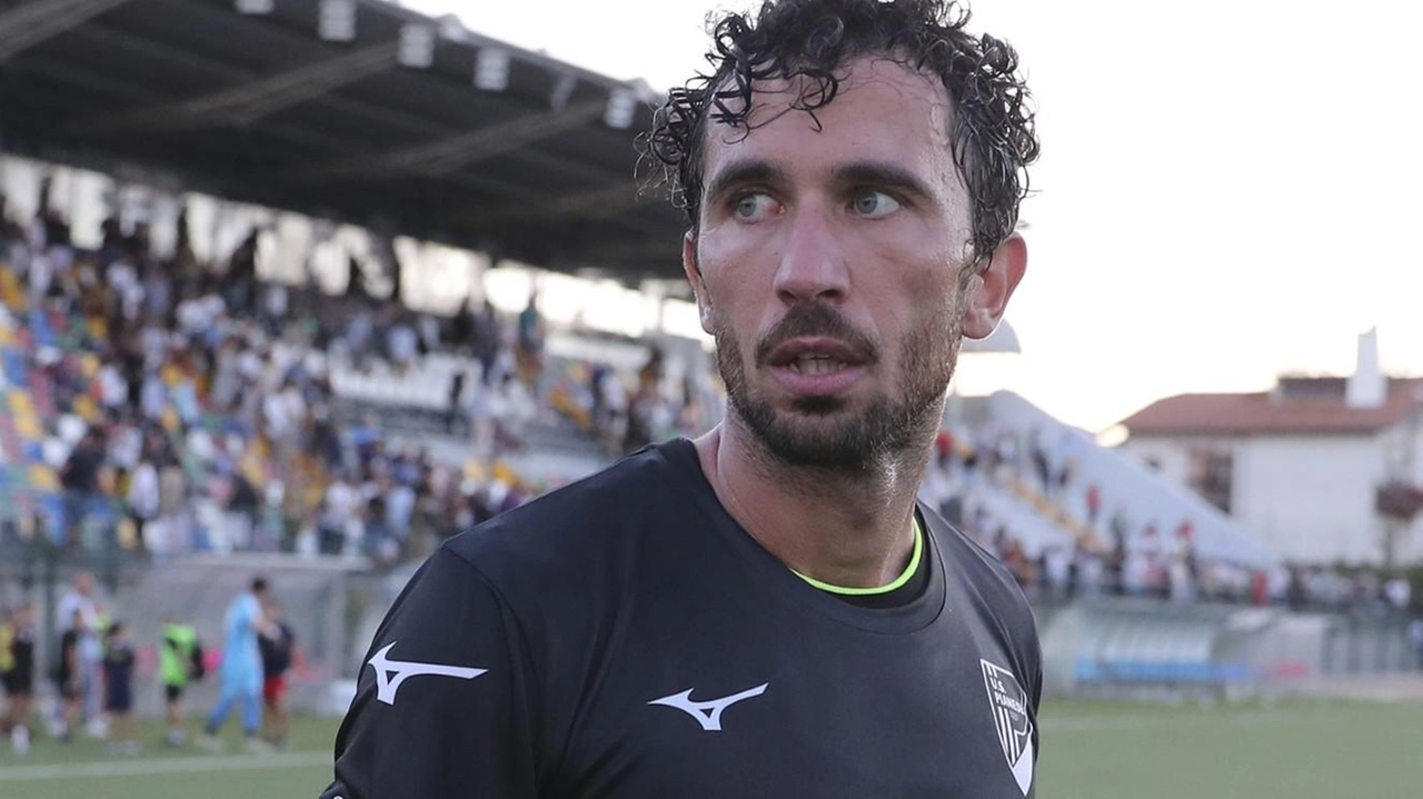 Il rinnovo del contratto tra la Pianese e il suo capitano Luca Simeoni (foto) era nell’aria e finalmente è arrivato....
