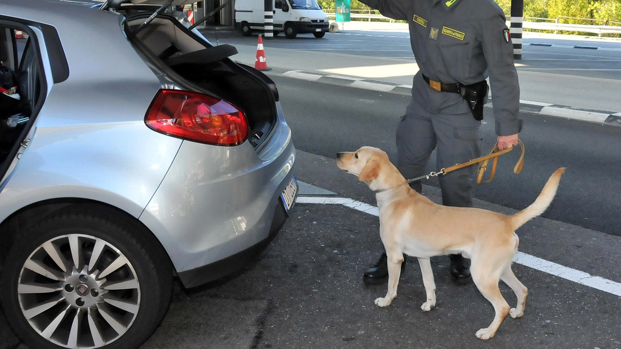 Nel corso dei controlli. interforze che hanno interessato l’Acropoli,hanno dato il loro contributo anche le unità cinofile antidroga della Guardia di Finanza Nel corso dei controlli. interforze che hanno interessato l’Acropoli,hanno dato il loro contributo anche le unità cinofile antidroga della Guardia di Finanza