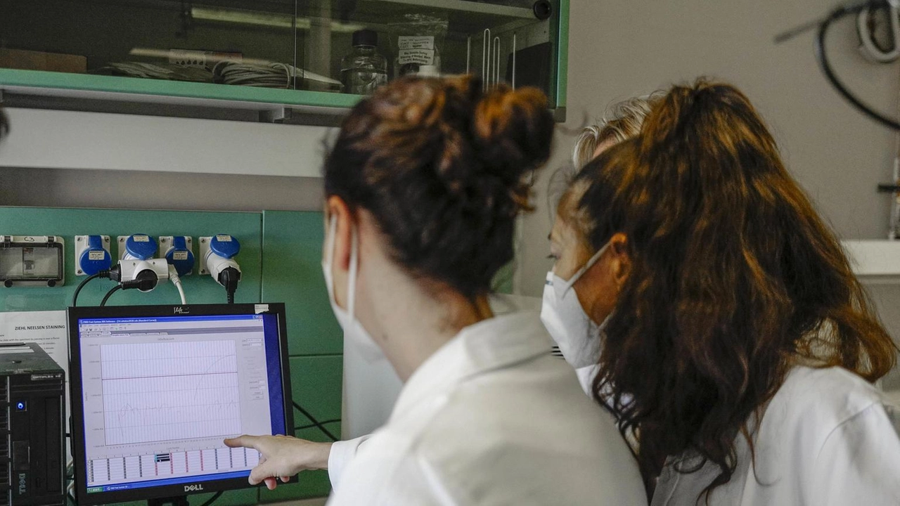 In attesa del Job Meeting in presenza, che si terrà a Pisa il 27 novembre 2025, si avvicina l’appuntamento con...