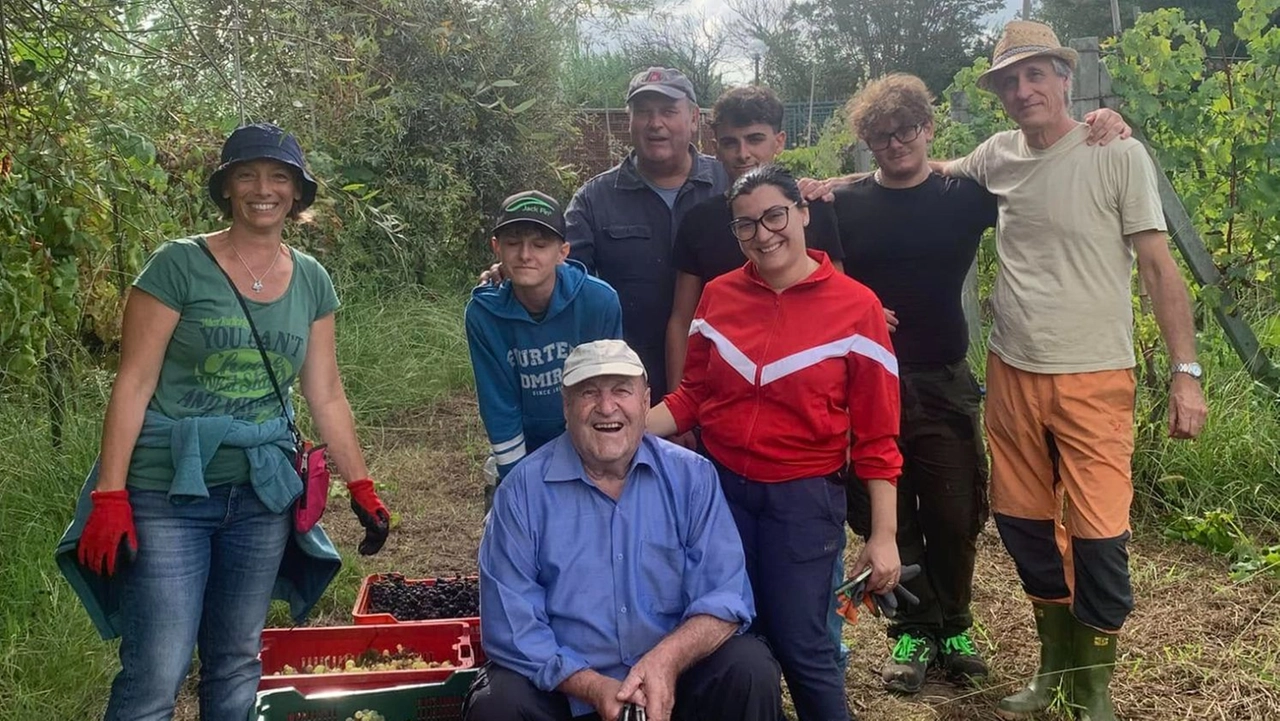 In campo studenti e “alunni” di un tempo. Tra loro anche un quasi novantenne, Giuliano Caleo, memoria vivente della storia agricola di Marinella