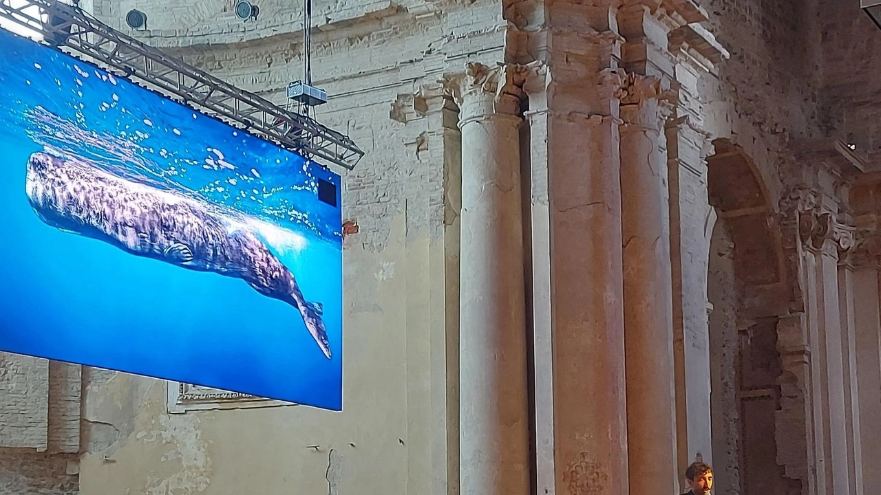 Il festival "Eco Sanfra" a Perugia, dedicato alla sostenibilità e ispirato al "Cantico delle Creature" di San Francesco, ha debuttato con successo al sold out. Promosso da Mea Concerti e la Camera di Commercio dell’Umbria, il festival coinvolge scuole e pubblico con incontri e spettacoli gratuiti. Il festival "Eco Sanfra" a Perugia, dedicato alla sostenibilità e ispirato al "Cantico delle Creature" di San Francesco, ha debuttato con successo al sold out. Promosso da Mea Concerti e la Camera di Commercio dell’Umbria, il festival coinvolge scuole e pubblico con incontri e spettacoli gratuiti.