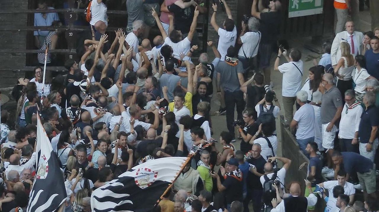 Il Palio viene calato dal capitano vittorioso Il Palio viene calato dal capitano vittorioso