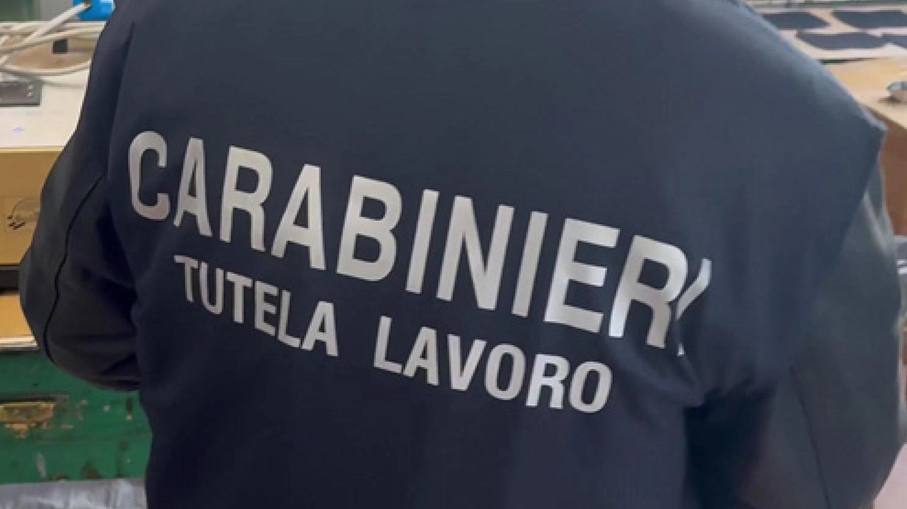 L’indagine è stata condotta dai. carabinieri del Nucleo ispettorato del lavoro di Perugia, con l’aiuto di militari della Stazione di Trevi, dell’Ispettorato territoriale del lavoro di Perugia e dei mediatori culturali L’indagine è stata condotta dai. carabinieri del Nucleo ispettorato del lavoro di Perugia, con l’aiuto di militari della Stazione di Trevi, dell’Ispettorato territoriale del lavoro di Perugia e dei mediatori culturali