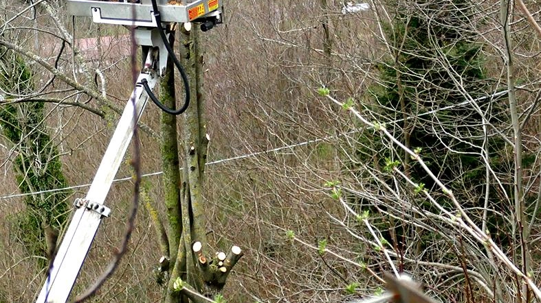 "Sono in corso gli interventi di pulizia e potatura programmati dall’Ufficio tecnico del Comune lungo i margini delle strade comunali"....