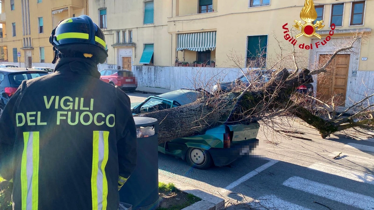 I vigili del fuoco del comando di Firenze, distaccamento di Empoli, sono intervenuti sul fatto I vigili del fuoco del comando di Firenze, distaccamento di Empoli, sono intervenuti sul fatto