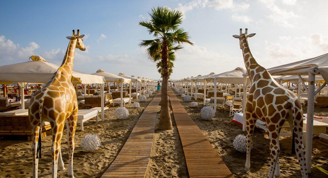 twiga il nuovo corso addio alle giraffe via agli arredi afrochic e una spinta sulla vita notturna da Lanazione.it twiga il nuovo corso addio alle giraffe via agli arredi afrochic e una spinta sulla vita notturna