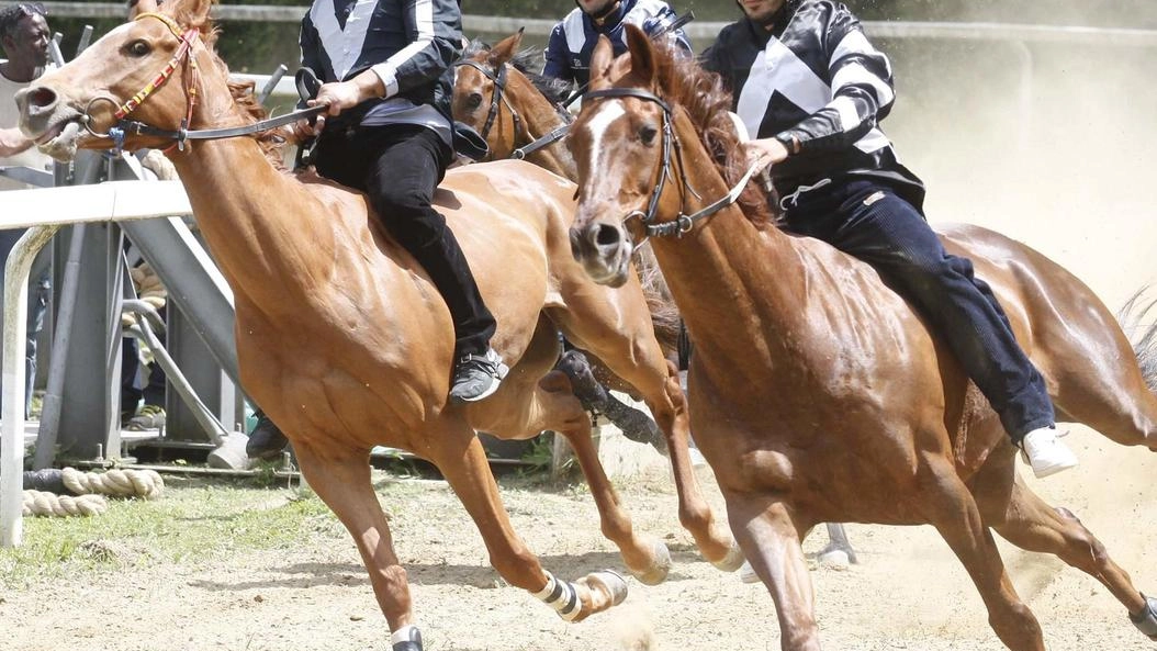 Si torna in pista oggi alle 14.30 a Monticiano Si torna in pista oggi alle 14.30 a Monticiano