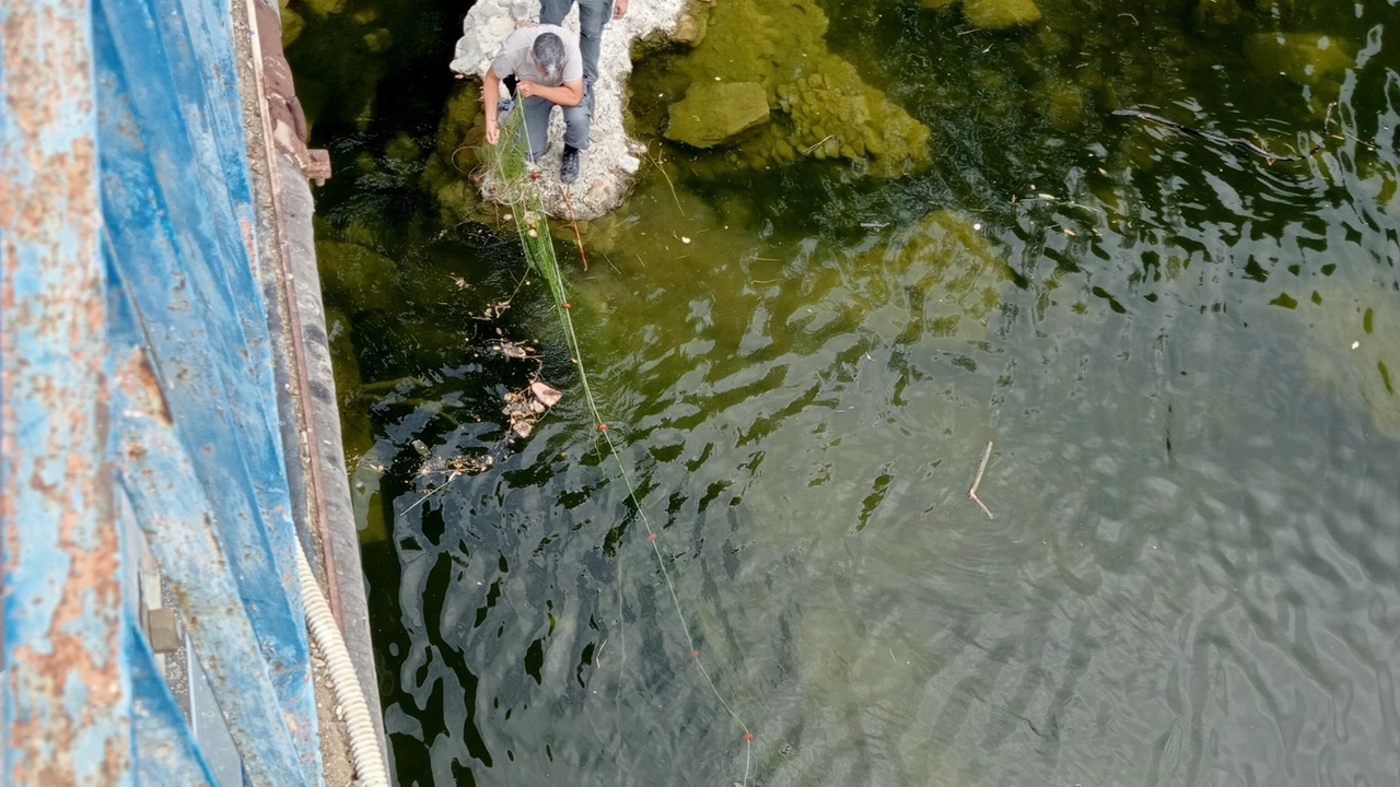 Vernio, pescano nel Bisenzio senza regolare licenza: multati. Sequestrata anche una rete