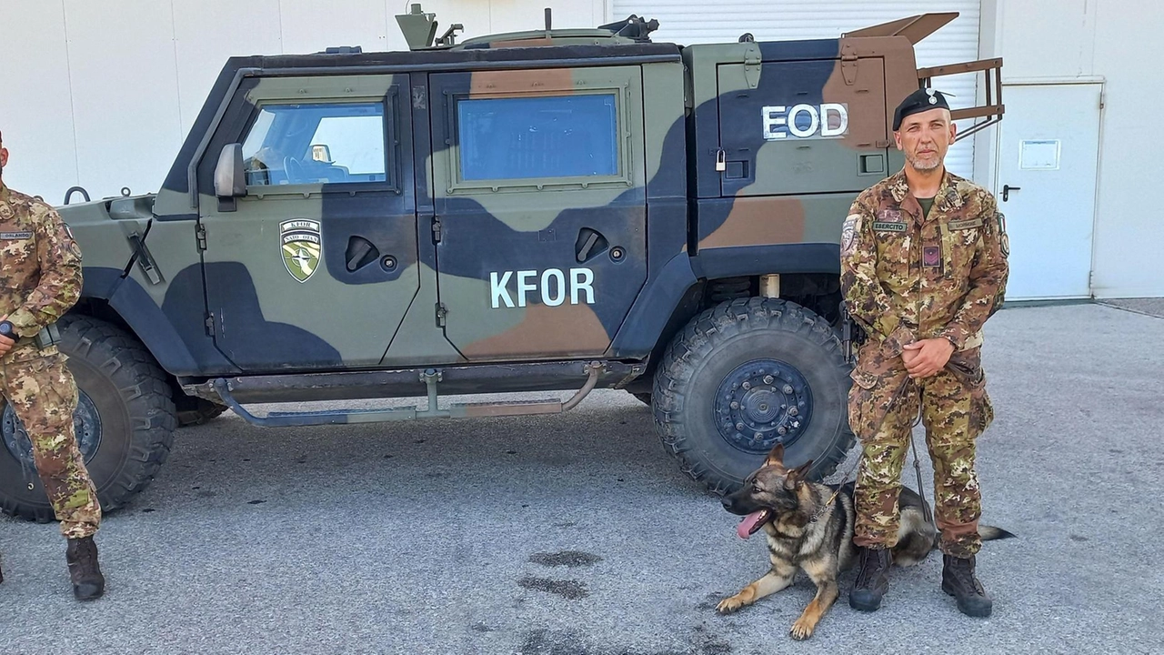 I militari e i cani del centro grossetano devono eliminare i rischi per il lavoro dei colleghi ma anche per la popolazione locale. I militari e i cani del centro grossetano devono eliminare i rischi per il lavoro dei colleghi ma anche per la popolazione locale.