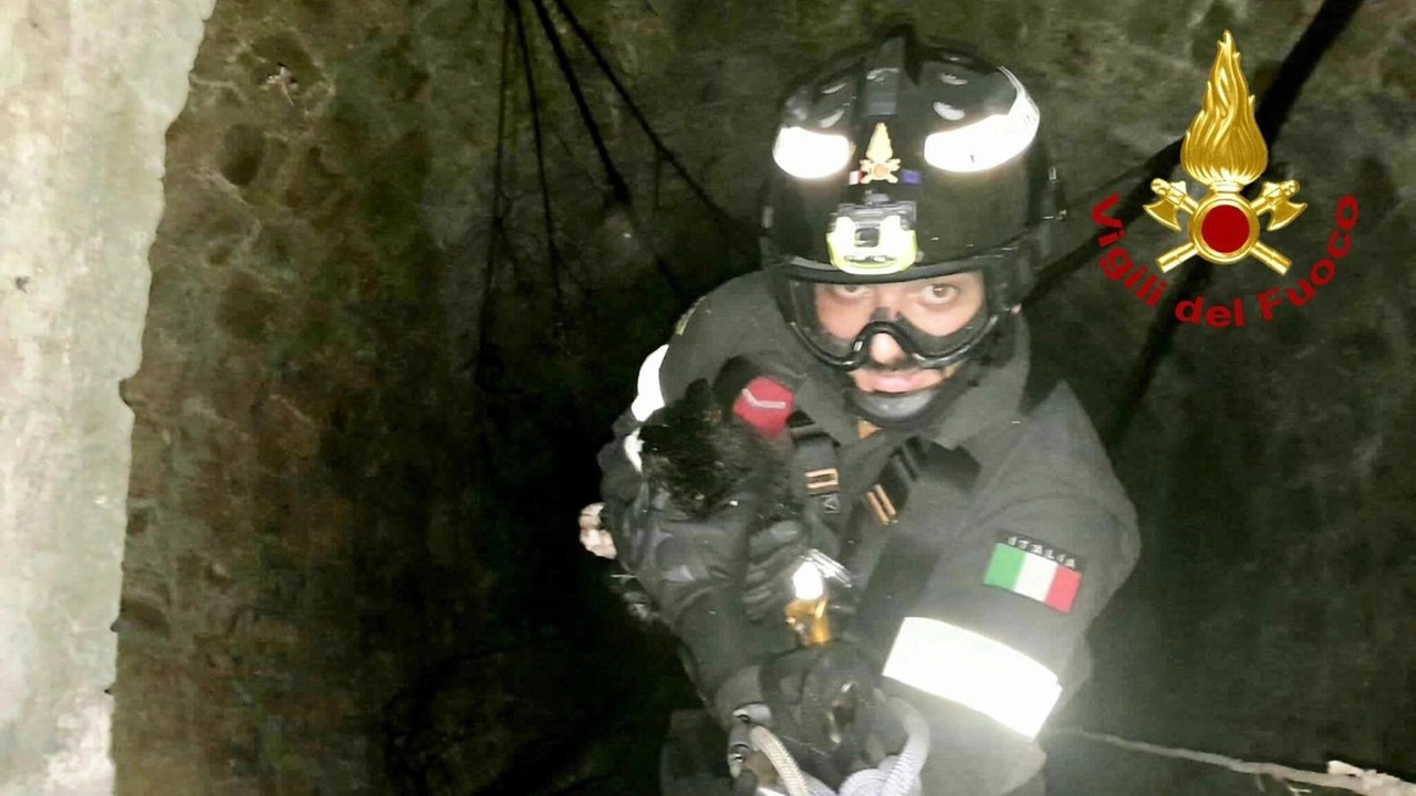Brutta avventura per sette giovani boy scout che sono stati recuperati dai vigili del fuoco e dalle squadre del... Brutta avventura per sette giovani boy scout che sono stati recuperati dai vigili del fuoco e dalle squadre del...