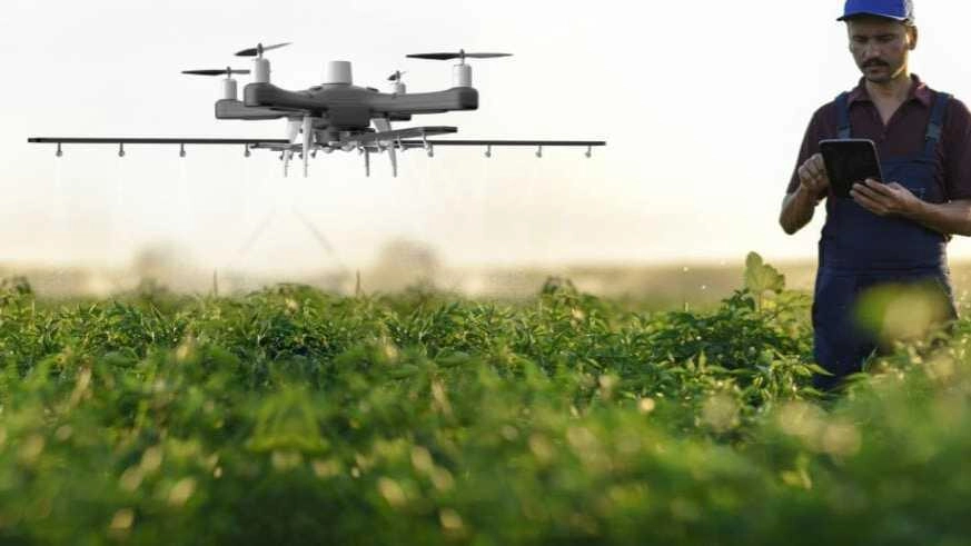 Agricoltura sempre più hi-tech. Funghi e muffe sulle castagne. Interventi mirati grazie ai droni