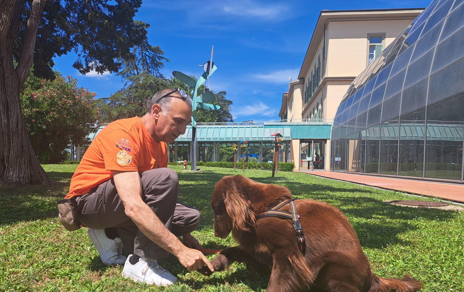 Il cane Kia della squadra di Pet Therapy del Mayer di Firenze: la sua compagnia ha aiutato la piccola Zoe di Casinalbo