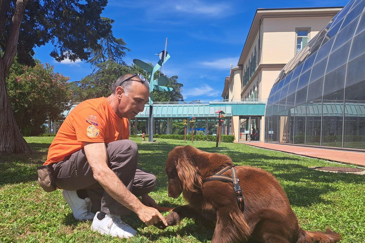 Il cane Kia della squadra di Pet Therapy del Mayer di Firenze: la sua compagnia ha aiutato la piccola Zoe di Casinalbo