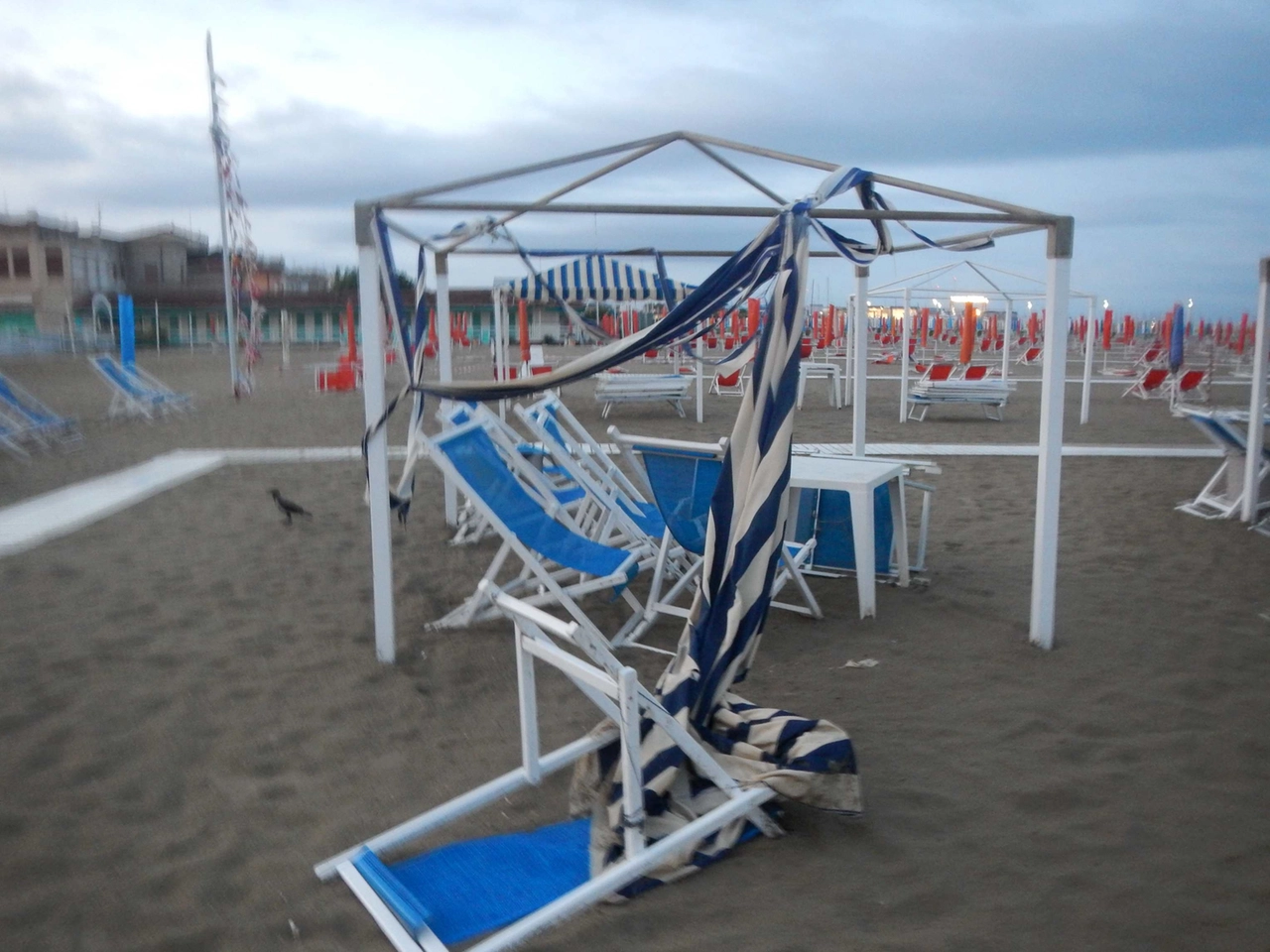 immagine di sfondo 4